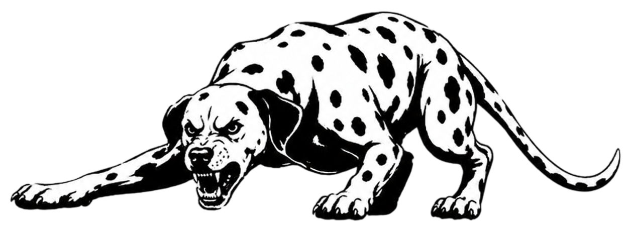 Canino — dálmata en pose de caza